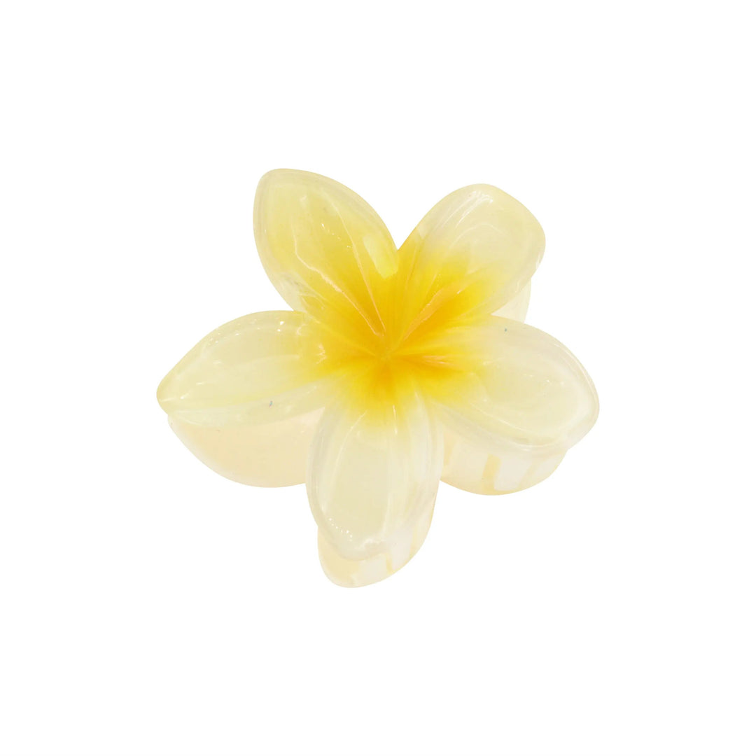 Hårklemme, blomst, flere farver Express