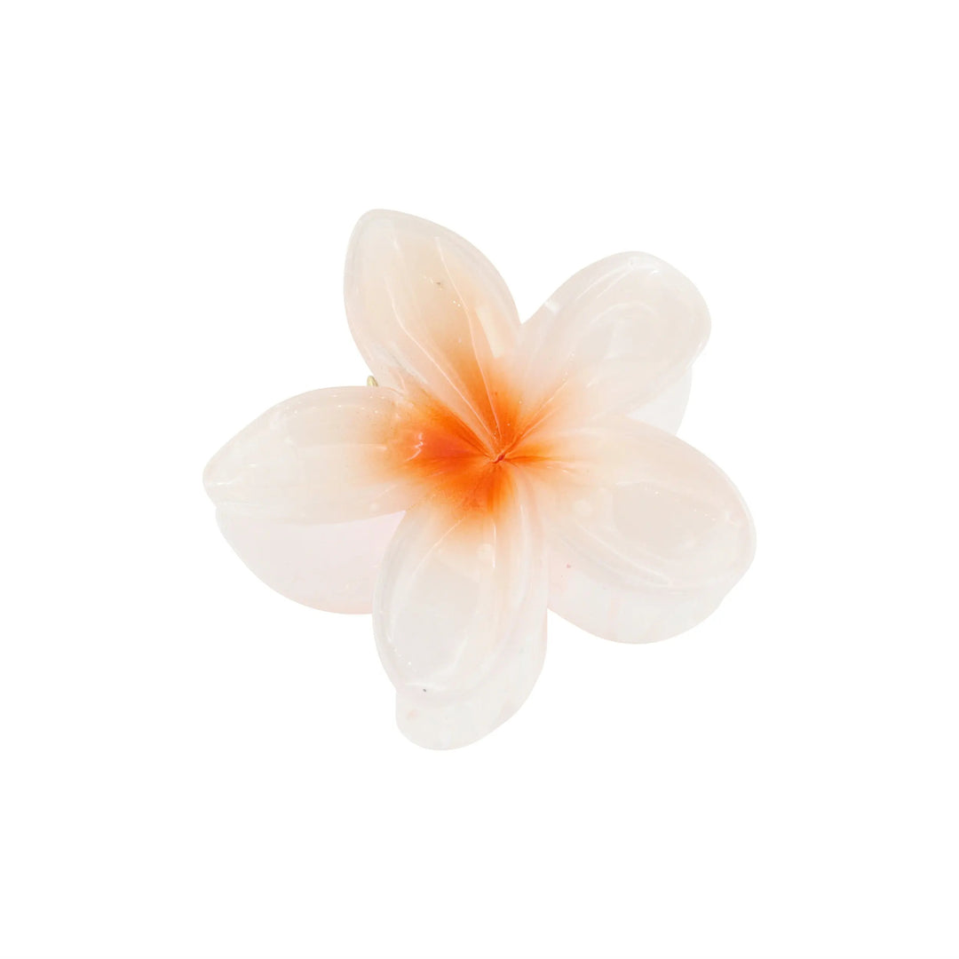 Hårklemme, blomst, flere farver Express