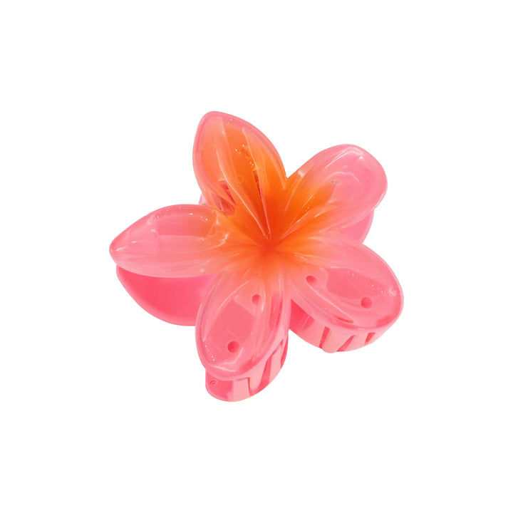 Hårklemme, blomst, flere farver Express