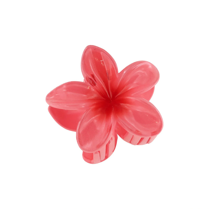 Hårklemme, blomst, flere farver Express