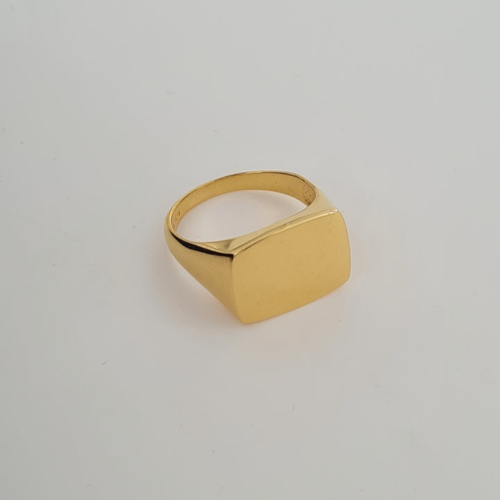 Find Fingerring, stor signet ring, forgyldt sterlingsølv hos Beadhouse of Copenhagen i dag, med en altid hurtig levering!